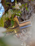Pink glass roller bottle filled with golden floral citrus perfume oil from Black Cat Alchemy Co featuring notes of jasmine, sandalwood, vanilla, bergamot, blood orange, and pink pepper.