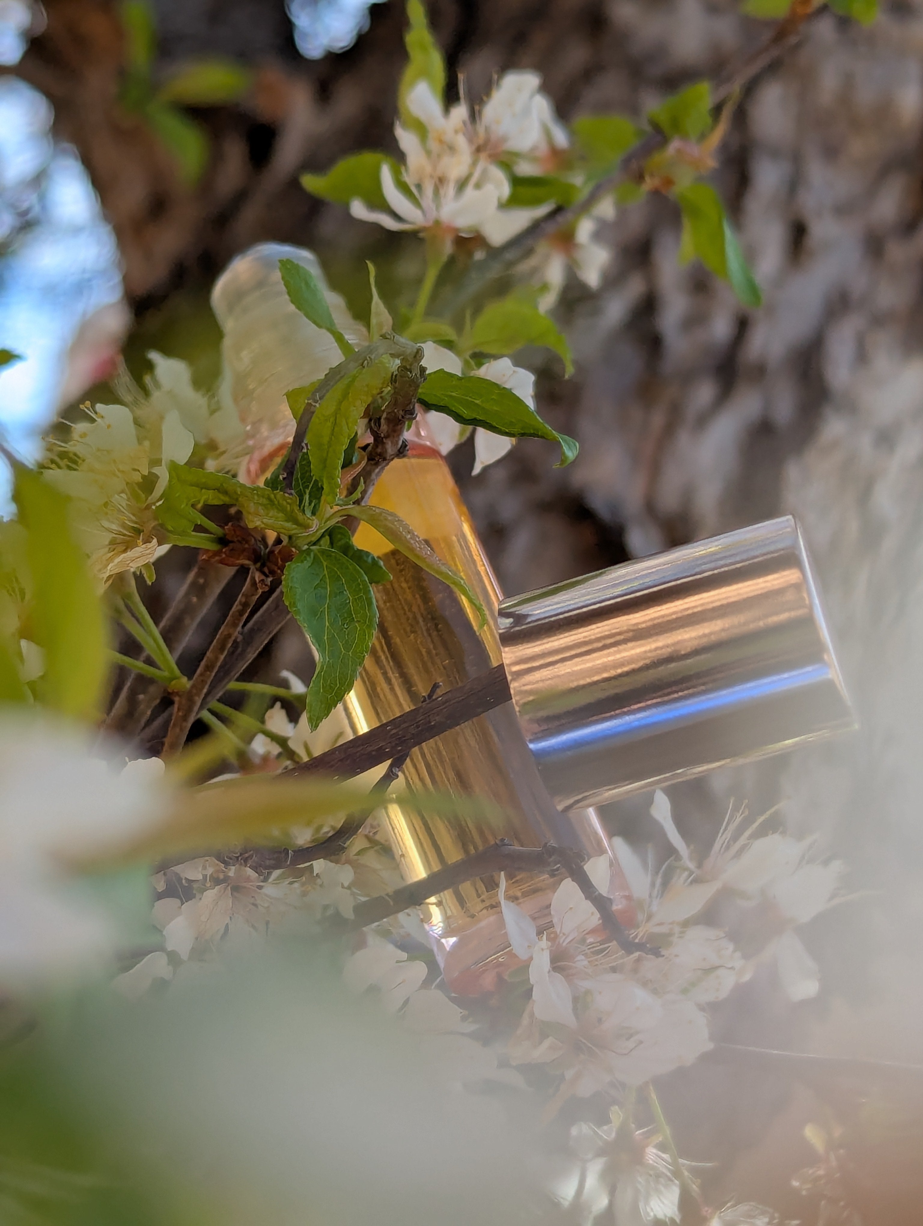 Pink glass roller bottle filled with golden floral citrus perfume oil from Black Cat Alchemy Co featuring notes of jasmine, sandalwood, vanilla, bergamot, blood orange, and pink pepper.