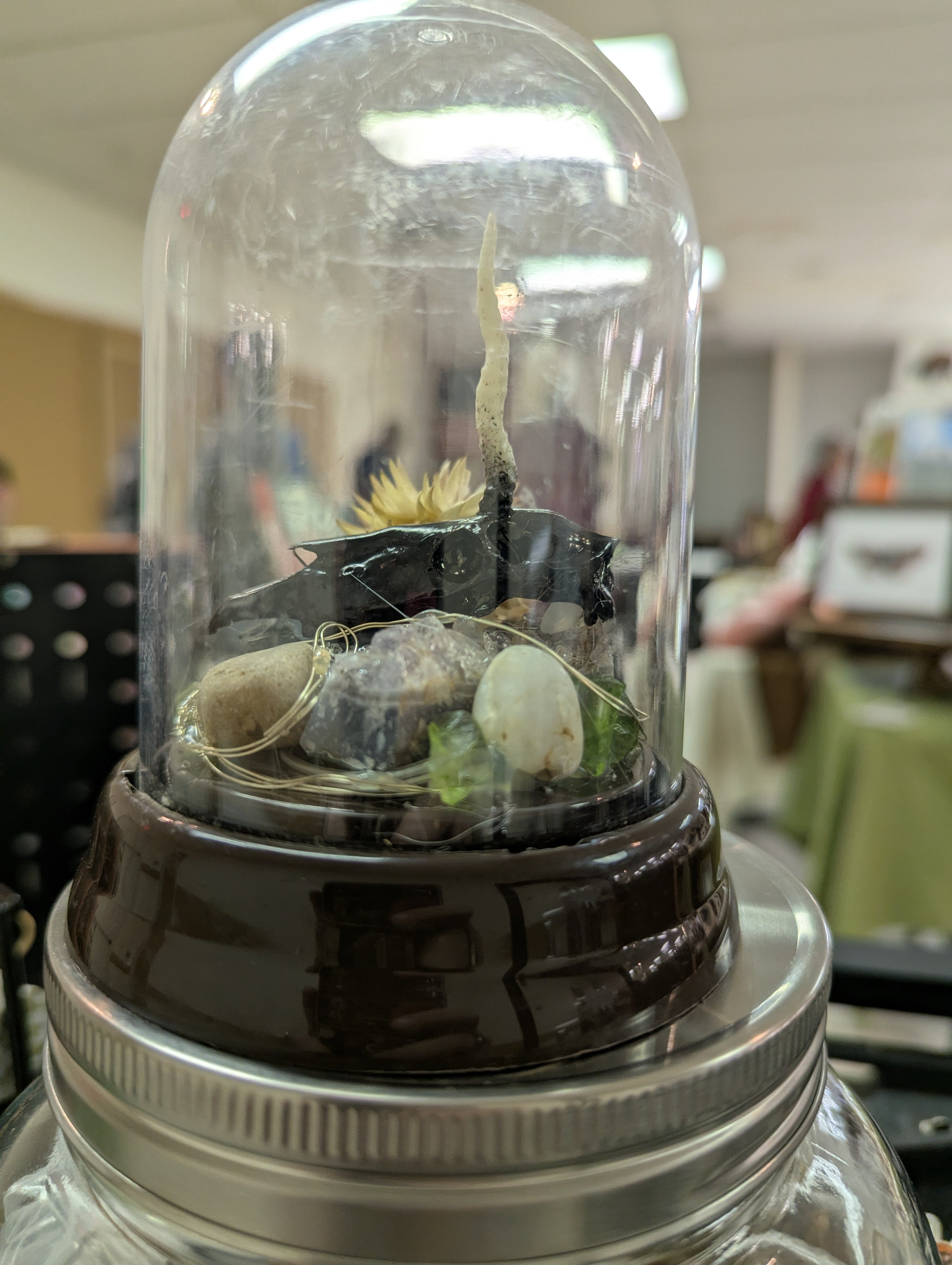 Unicorn terrarium