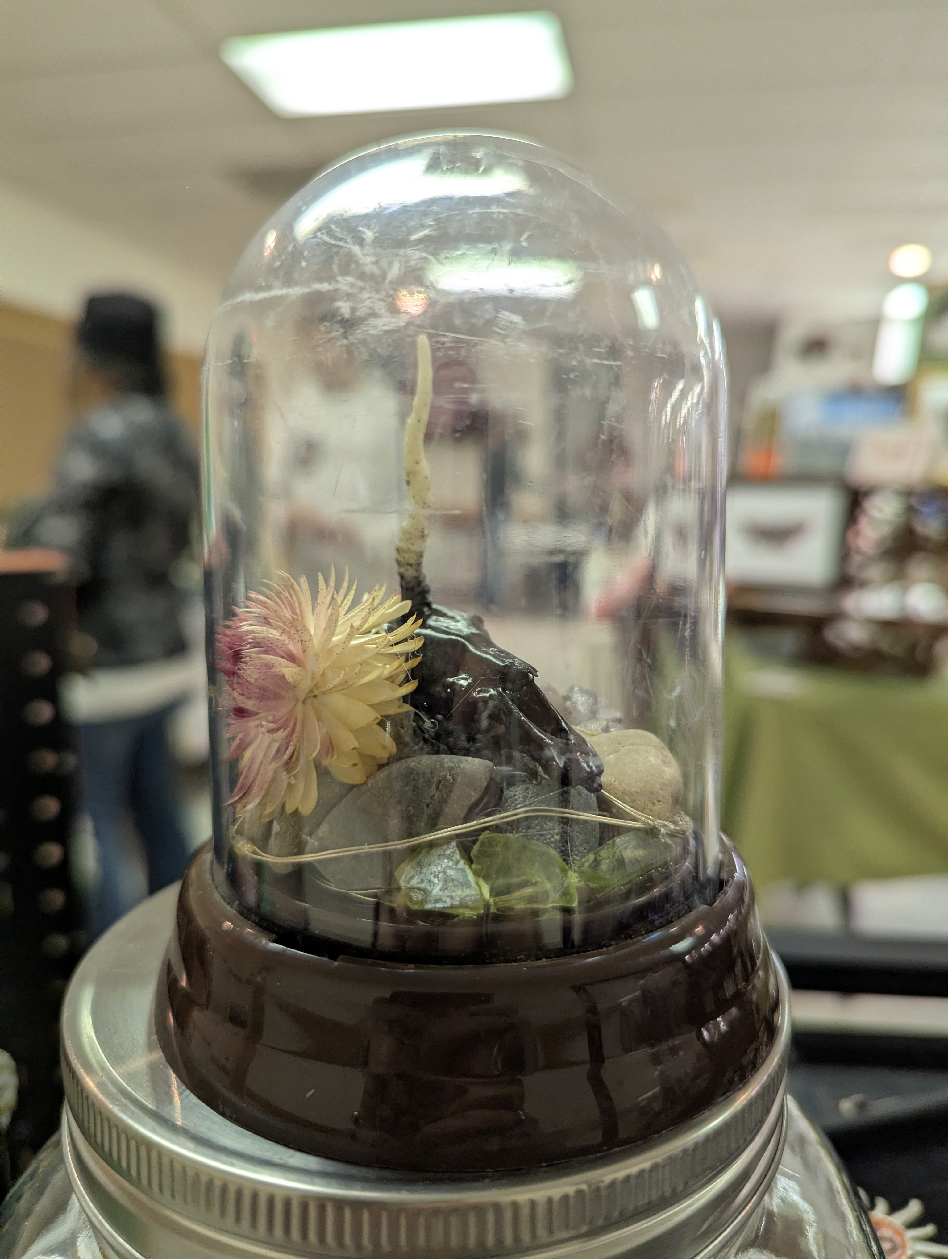Unicorn terrarium