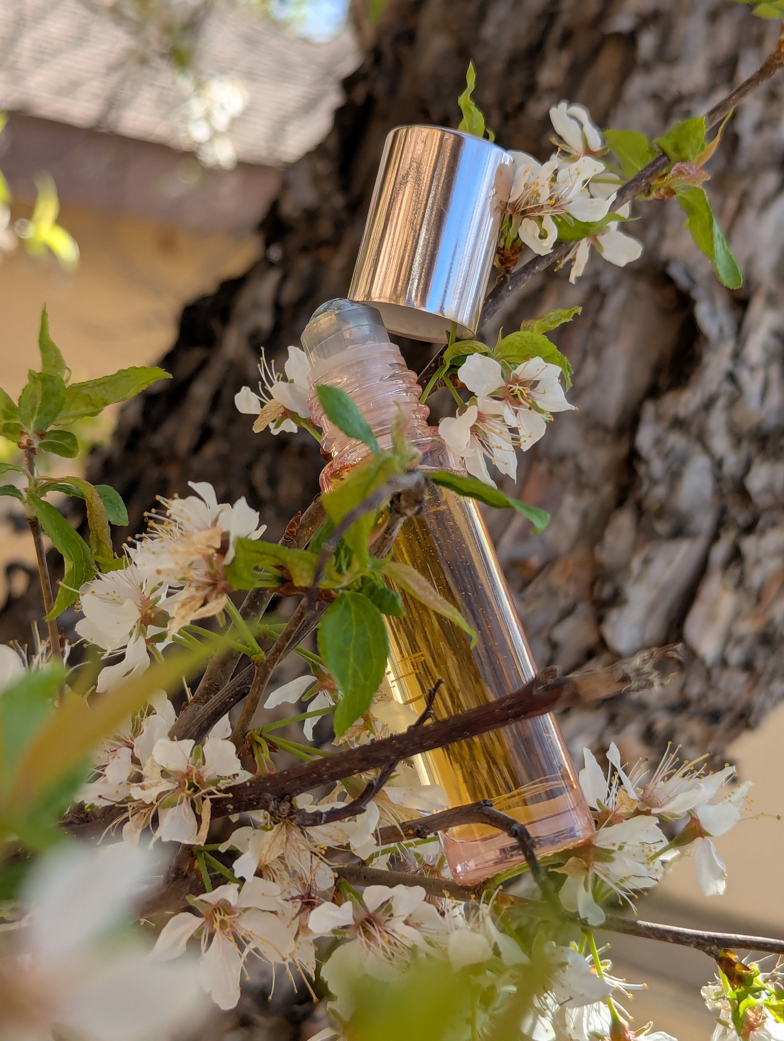 Glow From Within Perfume