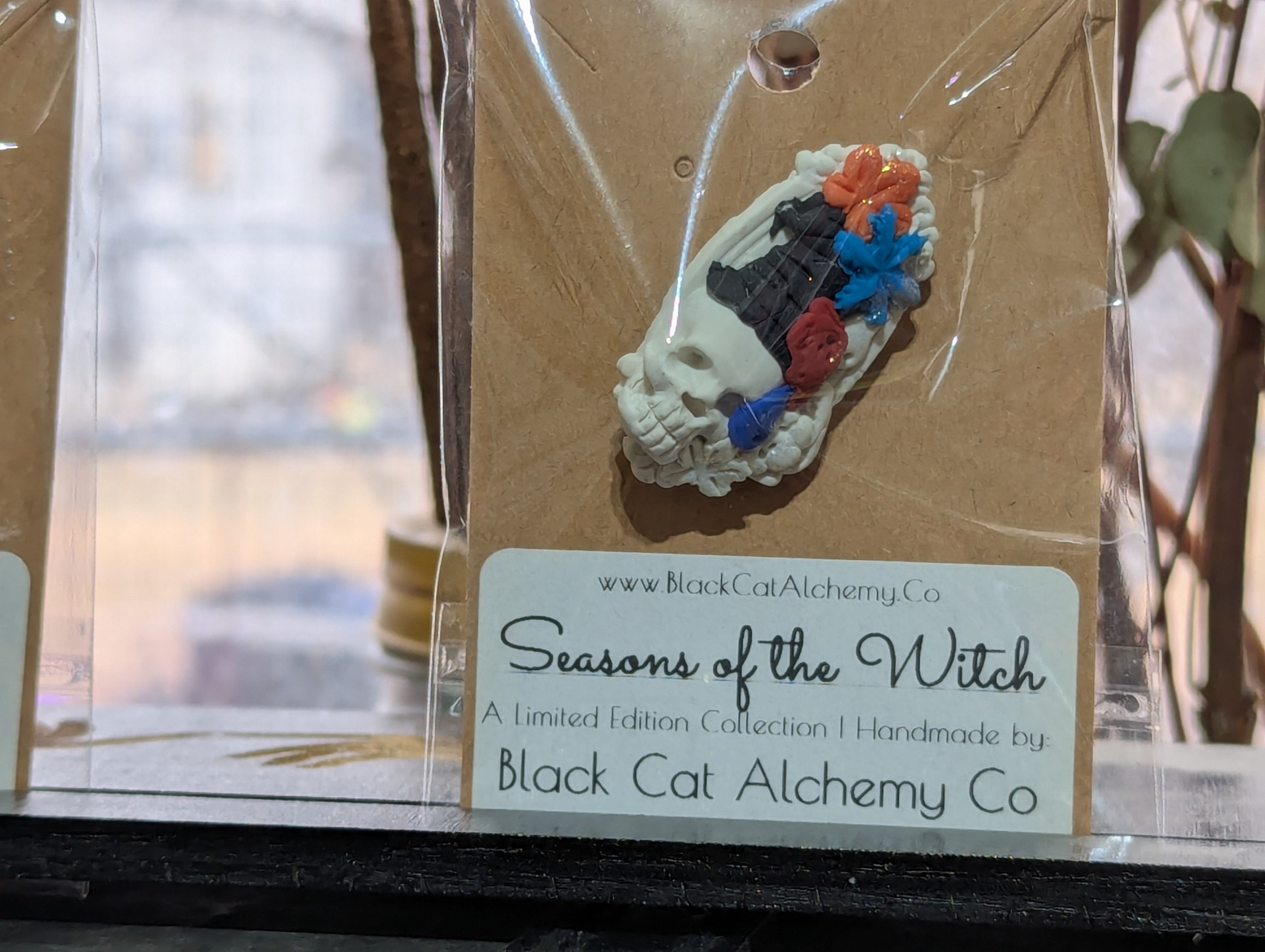 Seasons of the Witch