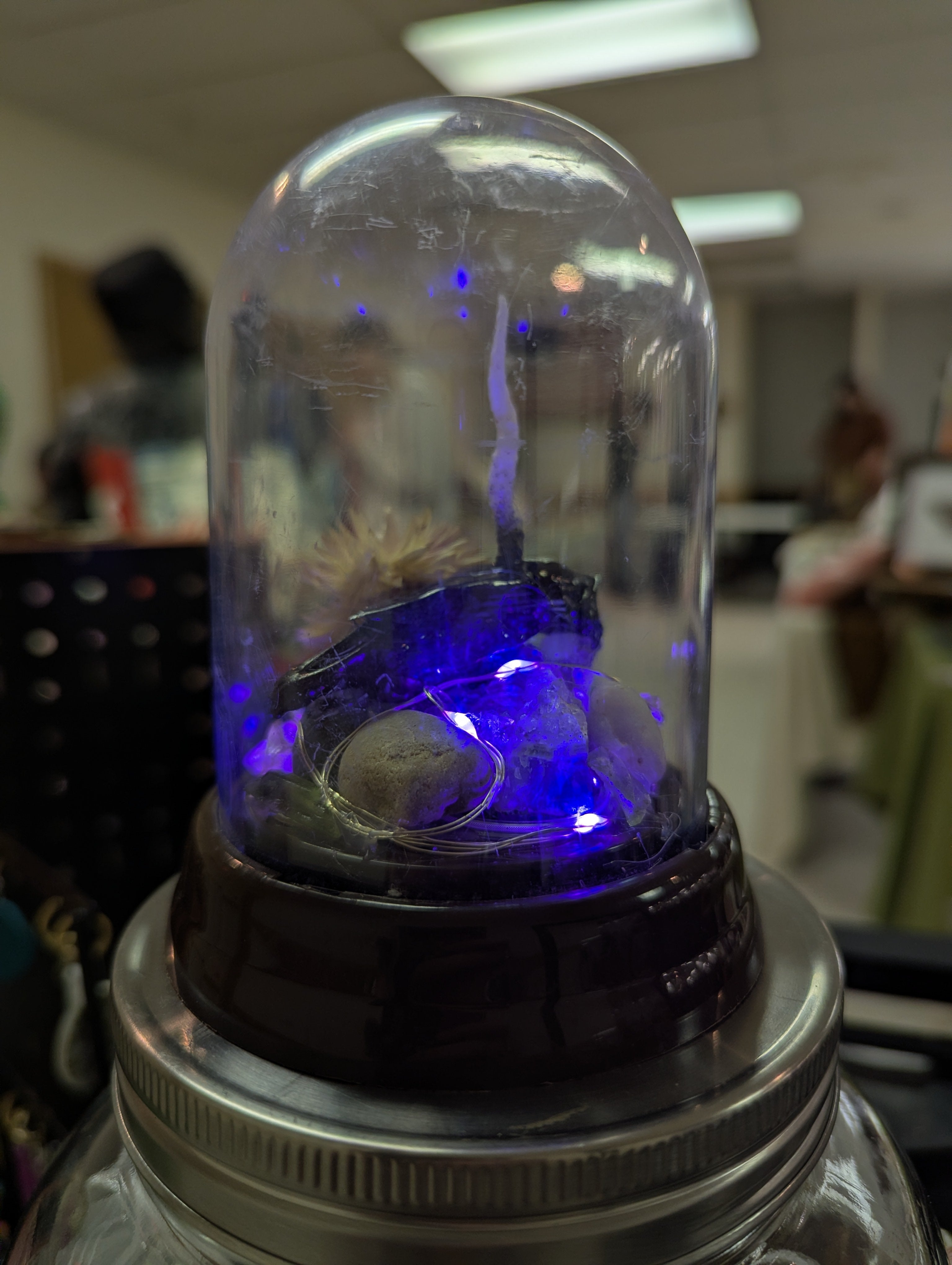 Unicorn terrarium